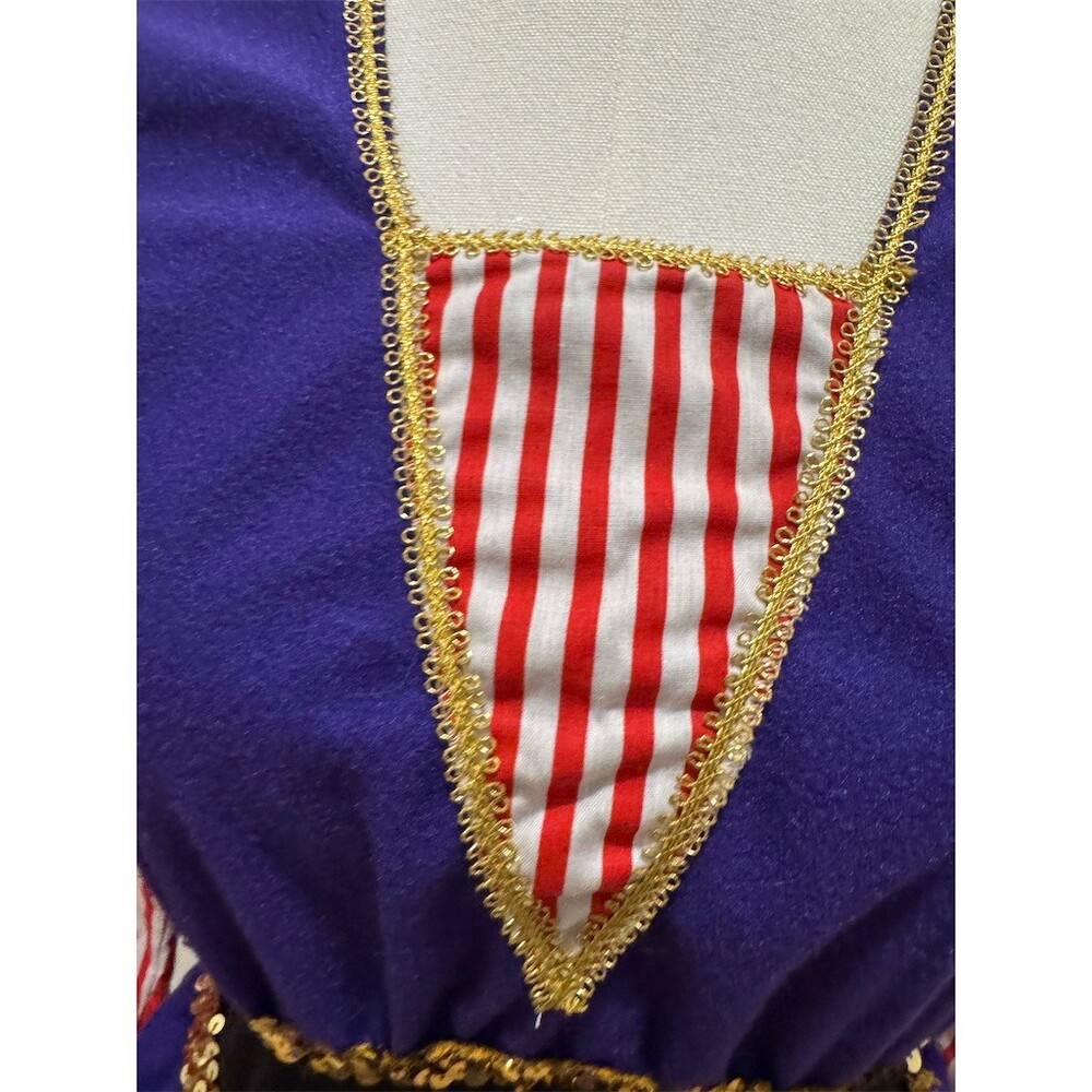 Rare Unique Vintage Childcraft Court Jester Harlequin Costume Dress Womens Small - Picture 8 of 14